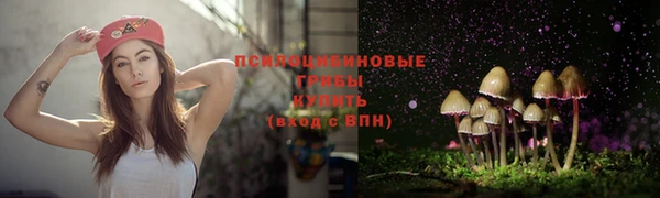 гидра Великий Новгород