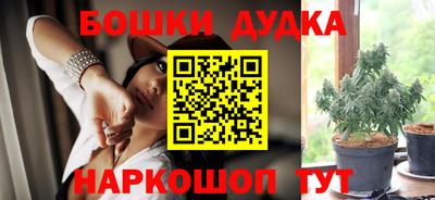 apvp Новодвинск