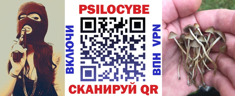 Псилоцибиновые грибы мицелий  Юрга 