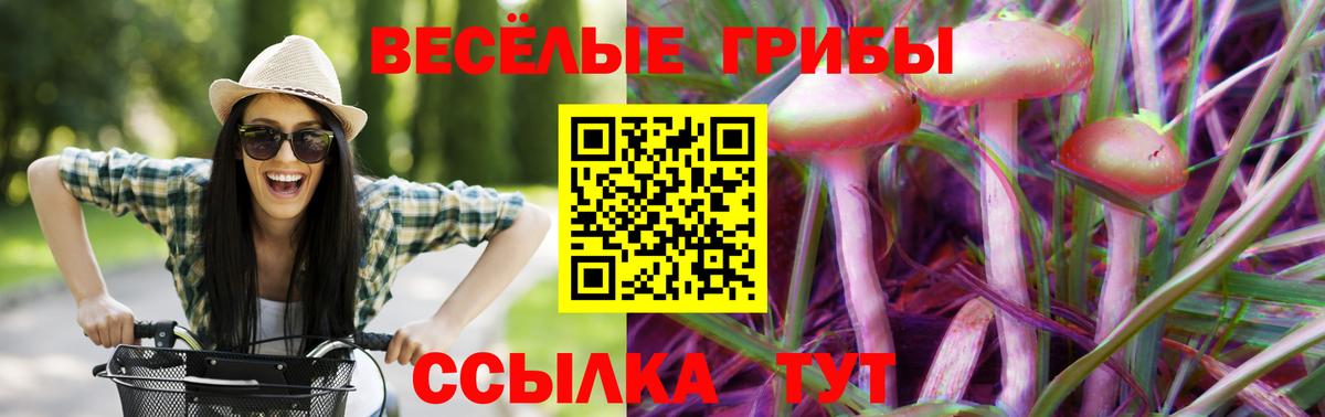 Юрга  Галлюциногенные грибы Magic Shrooms  Вход с VPN 