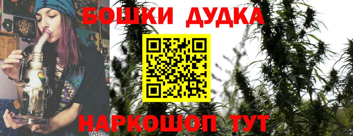 Канабис сатива Юрга